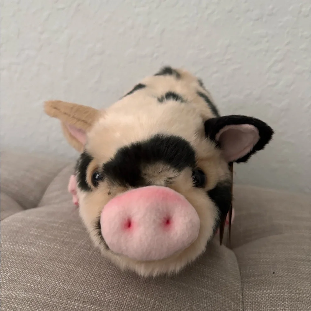 N/A adorable pig